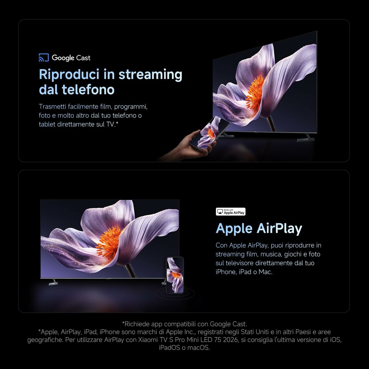 V4HB0333AD61FCA65F09796F43725E64B0DR7479017P10