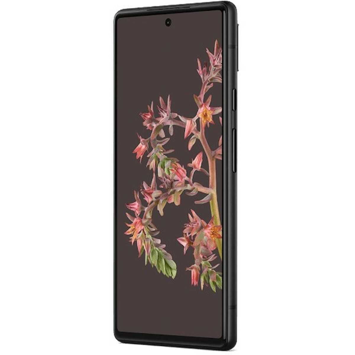 V3H695A327677C0378950D885E09ED0AC4FR6051056P1