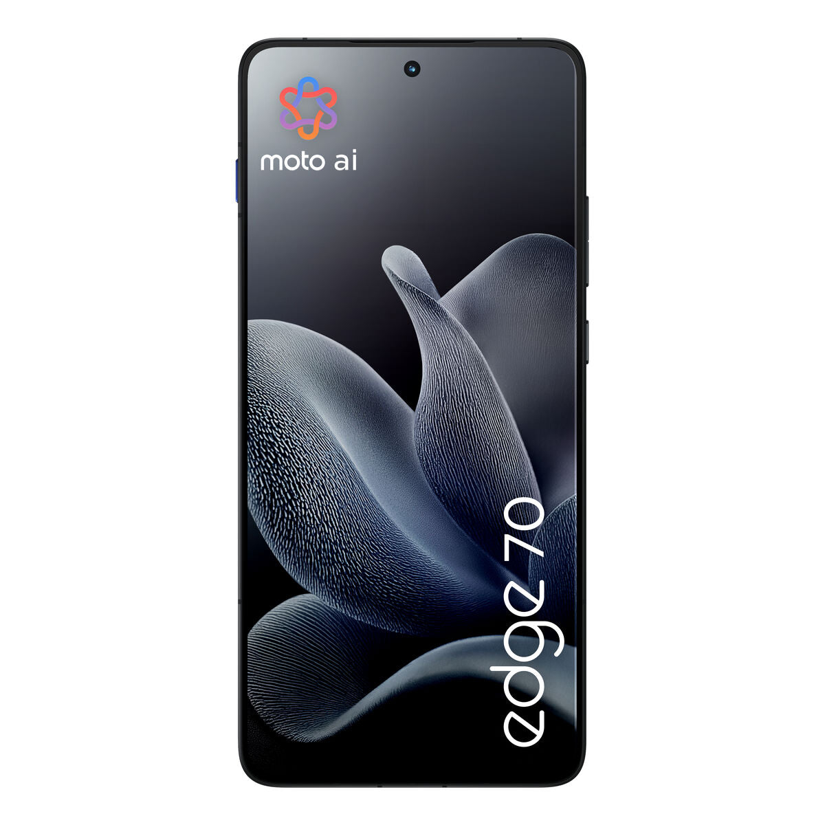 V4H46A9AAF1214F27C1E37FCDE6775D3B03R7576517P2