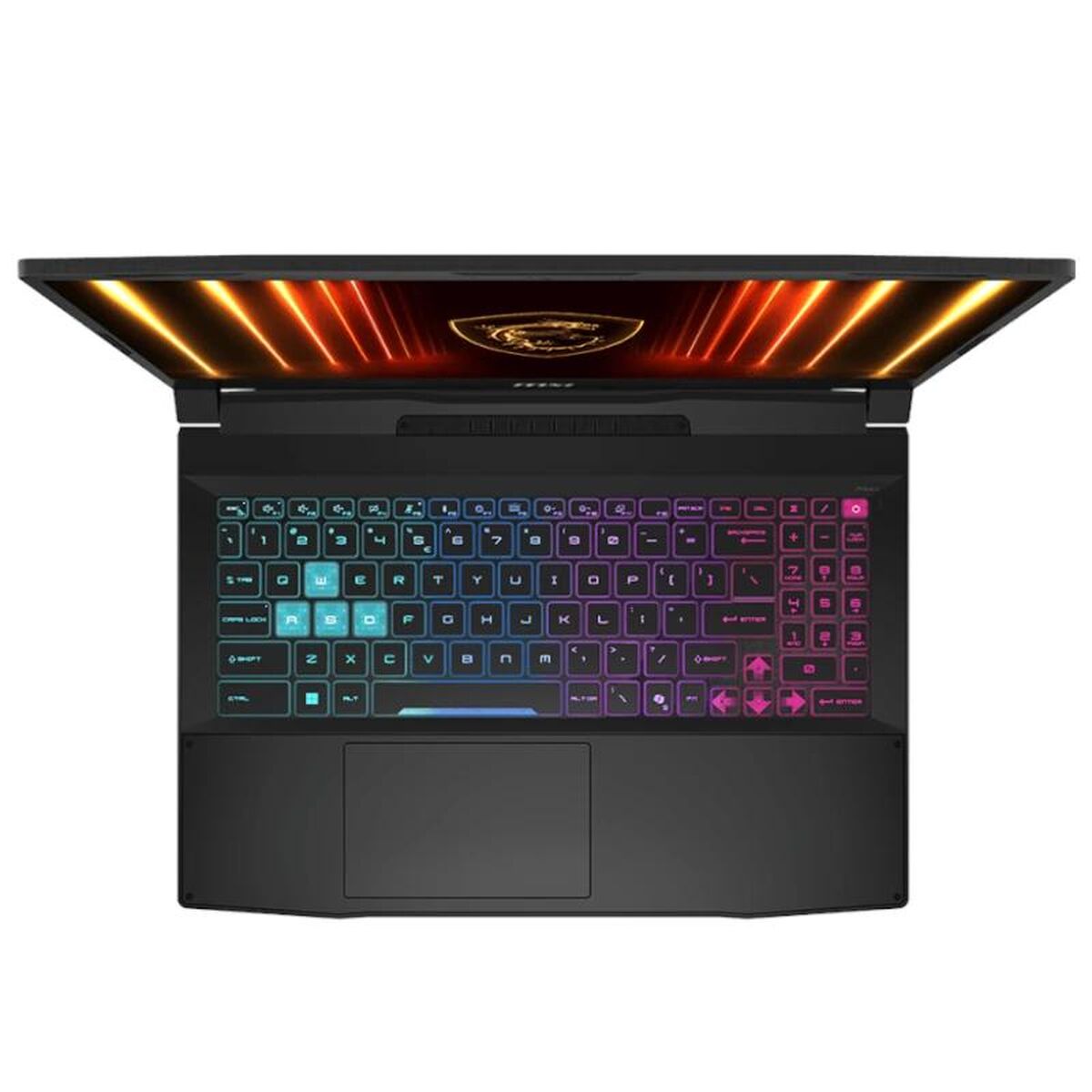 V4H185EDB53CDA4BBF81B0C5D559CDD206DR7527071P4