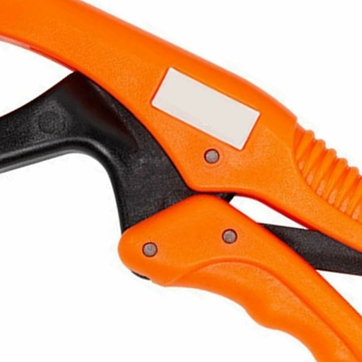 V7H7CF0C09DEDFBBE0A82A1A432D3C69D1FR6506896P6