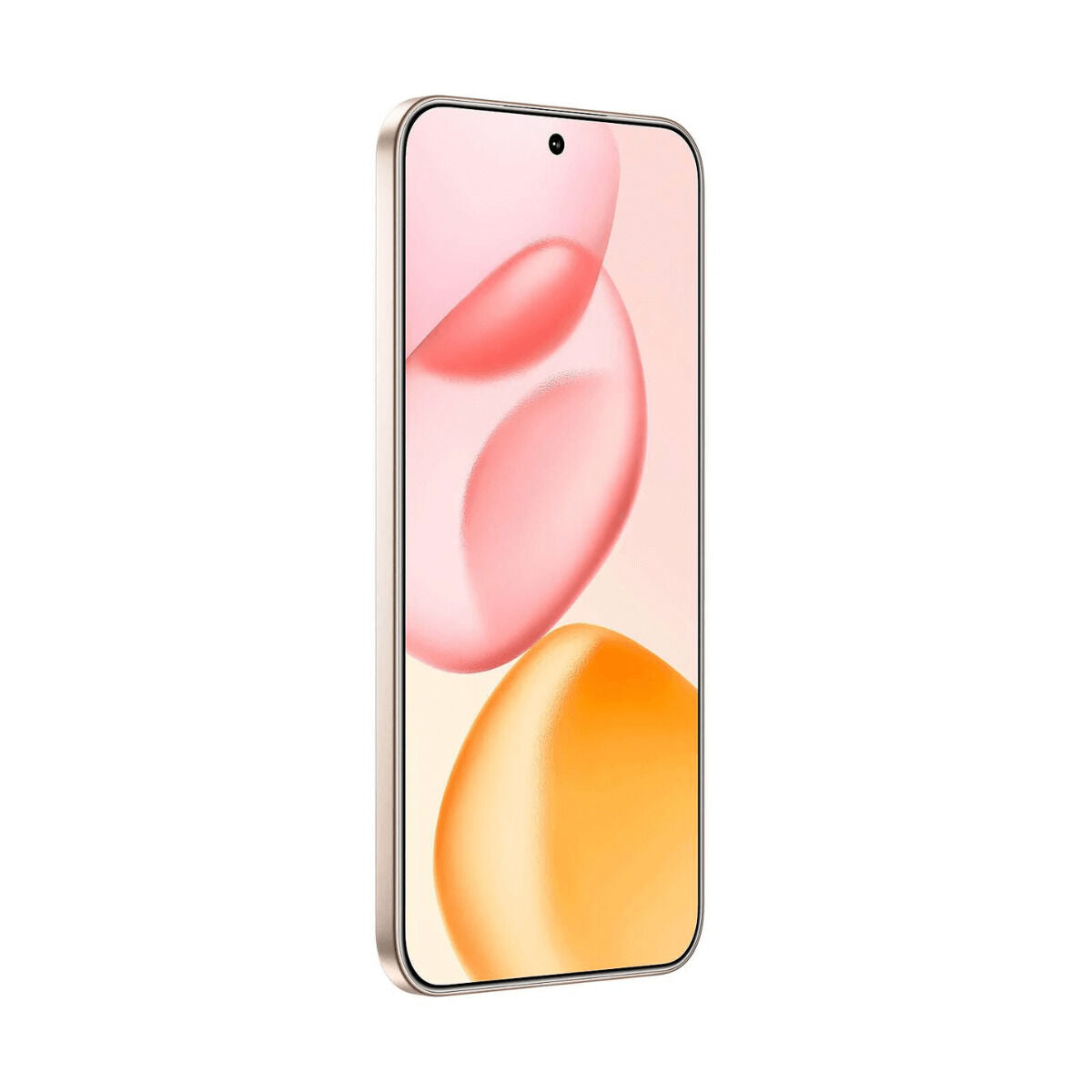 V2H54FBAD746A85EEF199D31DD53DF49F9AR7004288P6