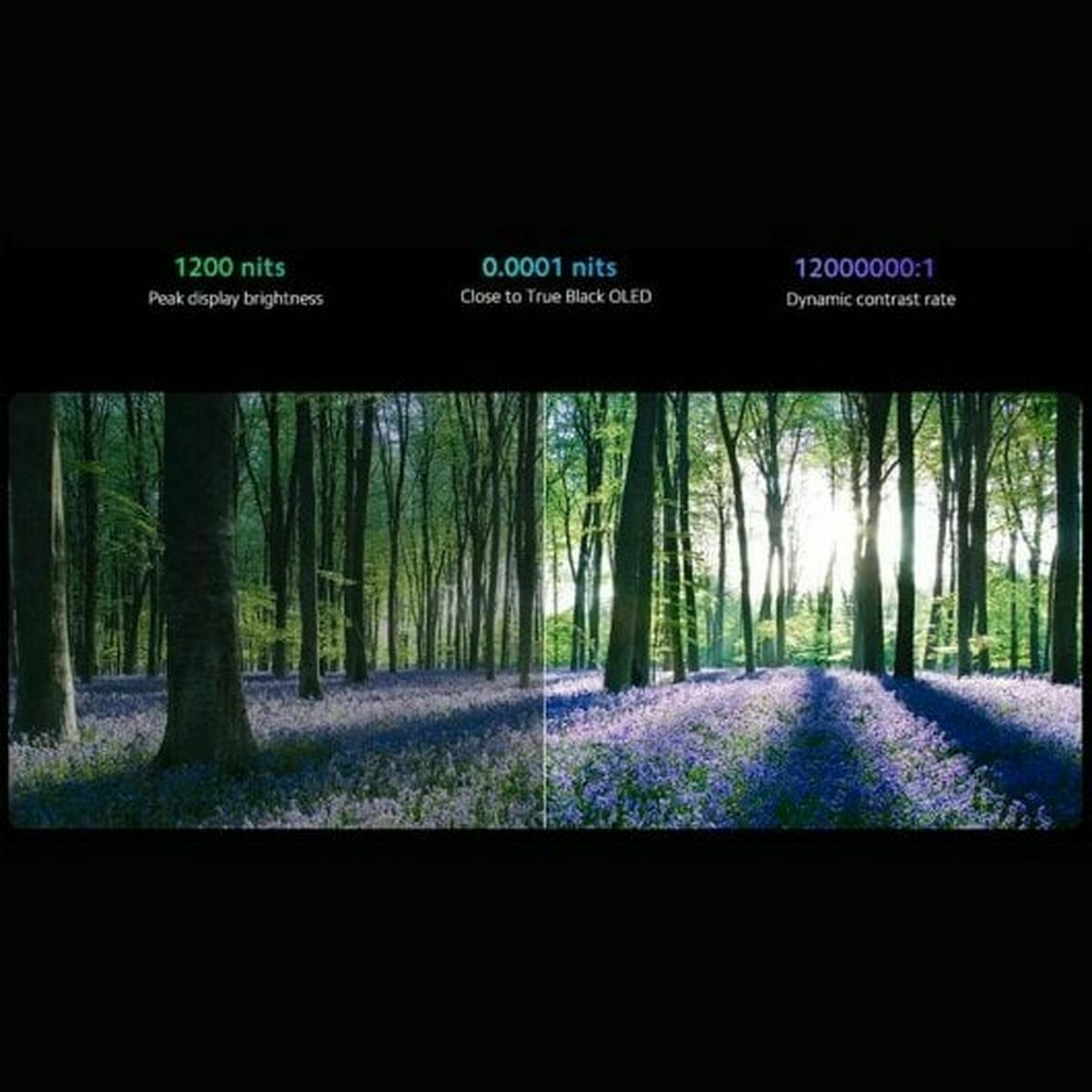 V5H29B11941D57BD0BBC76FDEB5EEDFF25FR6578717P8