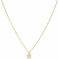 V6H2D81E12B338FED5402717A78231B2EB3R6493937P1